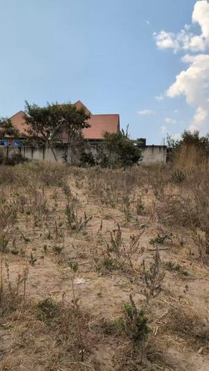Kiwanja kinauzwa Buhongwa Mussabe, Mwanza Kiwanja kinauzwa Buhongwa Mussabe, Mwanza