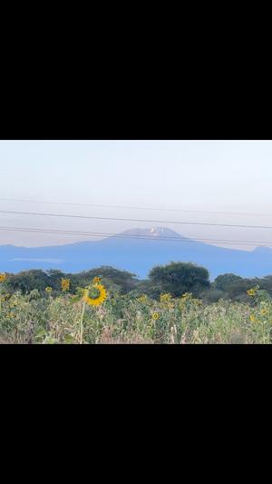 Shamba linauzwa Arusha acre 5 Shamba linauzwa Arusha acre 5