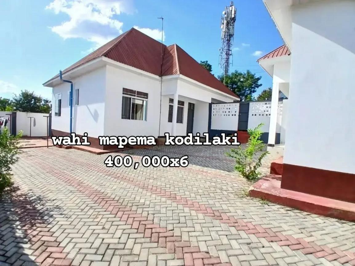 media -1 media -1