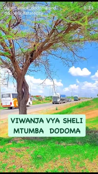 Commercial Plot for Sale in Mtumba, Dodoma (11000 sqm)