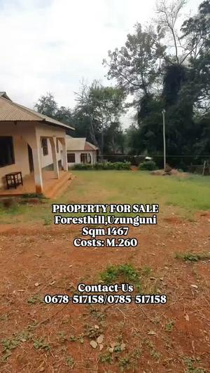 House for Sale in Forest Hill, Uzunguni, Mbeya (1467 sqm)