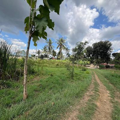 Industrial Plot for Sale in Mapinga, Pwani (4 acre) Industrial Plot for Sale in Mapinga, Pwani (4 acre)