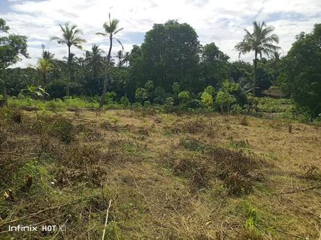Kiwanja kinauzwa Kibamba Shule, Dar Es Salaam (400 sqm)