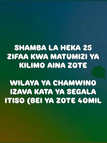 Shamba linauzwa Dodoma (25 acre) Shamba linauzwa Dodoma (25 acre)