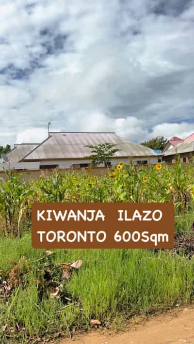 Kiwanja kinauzwa Ilazo Toronto, Dodoma (600 sqm) Kiwanja kinauzwa Ilazo Toronto, Dodoma (600 sqm)