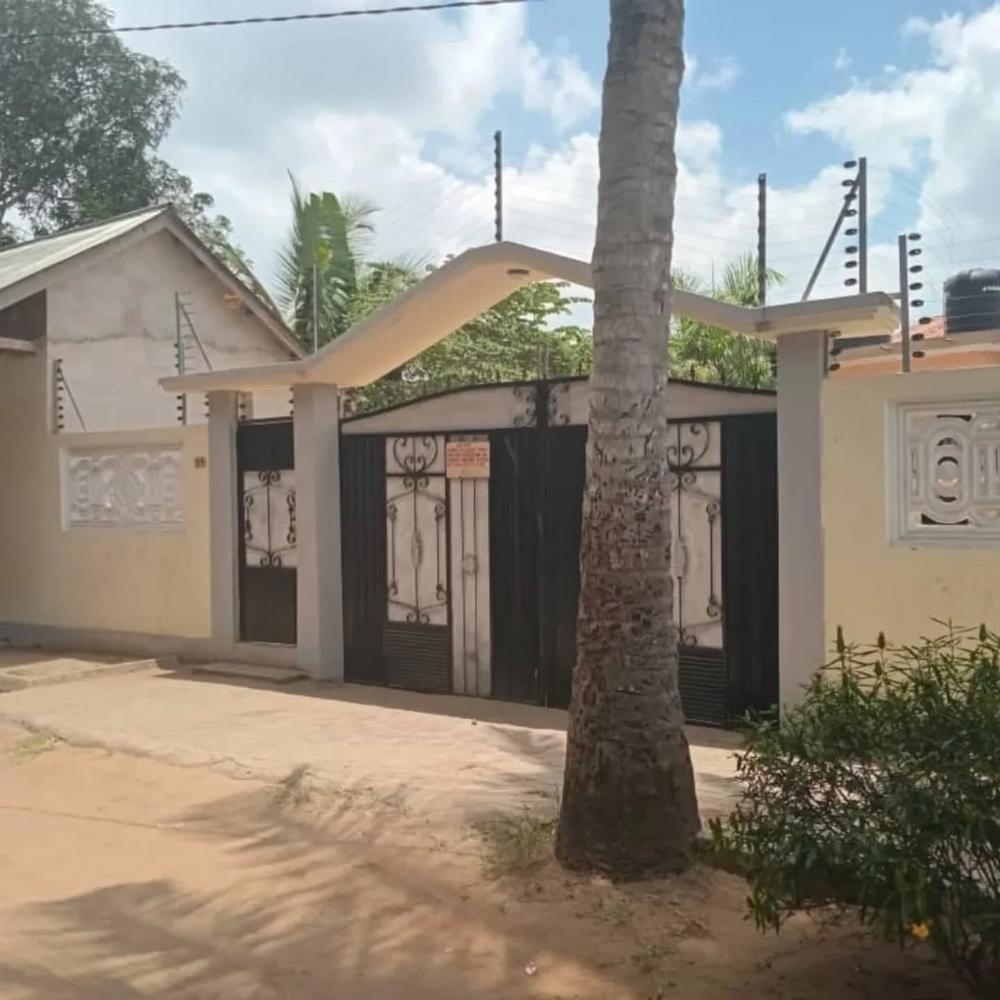 media -5