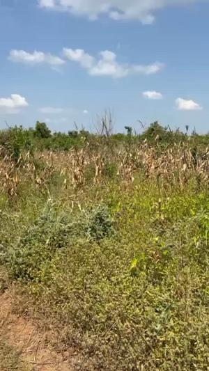 Shamba linauzwa Kiimbwanindi, Mkuranga, Pwani (140 acre)