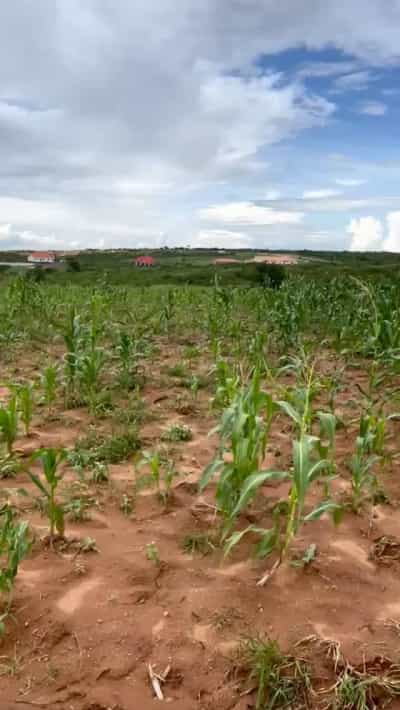 Viwanja vinauzwa Ntyuka, Dodoma