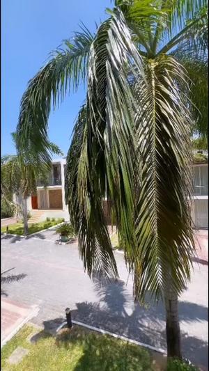 3 Bedrooms Furnished Villa for Rent in Masaki, Dar Es Salaam 3 Bedrooms Furnished Villa for Rent in Masaki, Dar Es Salaam