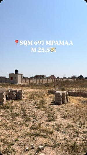 Kiwanja kinauzwa Dodoma sqm 697 Kiwanja kinauzwa Dodoma sqm 697