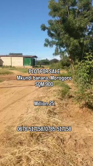 Plot for sale in Mkundi Banana, Morogoro sqm 900