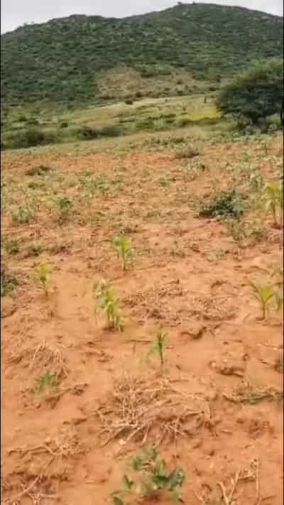 Kiwanja kinauzwa Mvumi, Morogoro (2.5 acre)