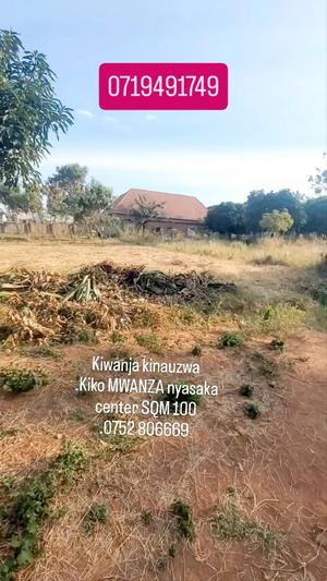 Kiwanja kinauzwa Nyasaka Center, Mwanza (1000 sqm) Kiwanja kinauzwa Nyasaka Center, Mwanza (1000 sqm)
