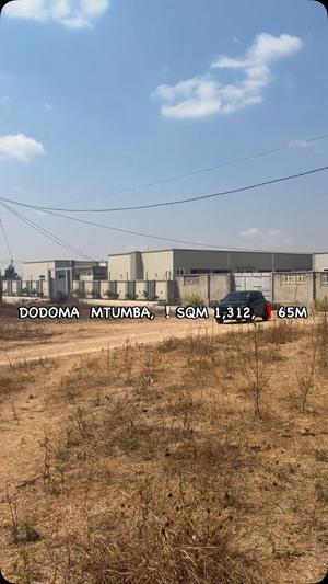 Kiwanja kinauzwa Mtumba Mji Wa Kiserikali, Dodoma (1314 sqm)