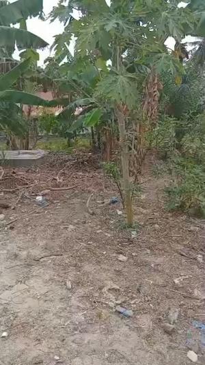 Plot for sale in Msuguri, Dar Es Salaam sqm 320 Plot for sale in Msuguri, Dar Es Salaam sqm 320
