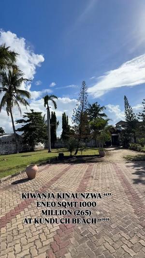 Beach Plot kinauzwa Kunduchi Beach, Dar Es Salaam (1000 sqm)