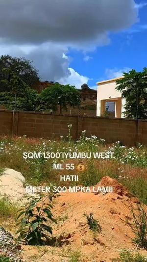 Plot for sale in Iyumbu West, Dodoma sqm 1300
