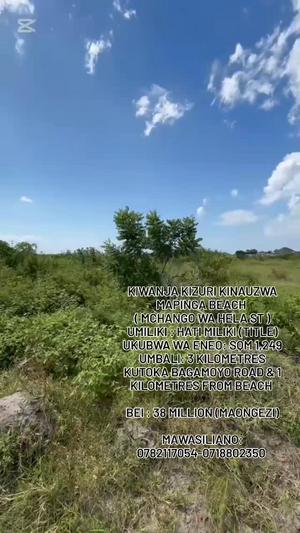 Residential Plot for Sale in Mapinga Beach, Pwani (1249 sqm) Residential Plot for Sale in Mapinga Beach, Pwani (1249 sqm)