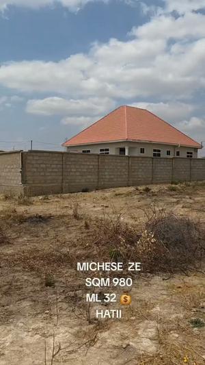 Kiwanja kinauzwa Dodoma Mjini Micheze Ze Ushuani (980 sqm)