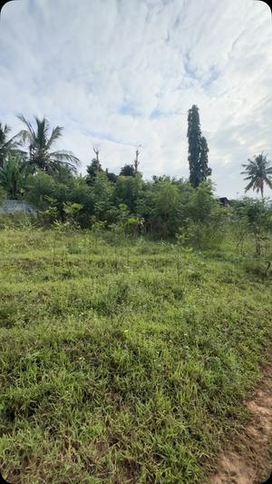 Residential Plot for Sale in Salasala, Dar Es Salaam (900 sqm) Residential Plot for Sale in Salasala, Dar Es Salaam (900 sqm)