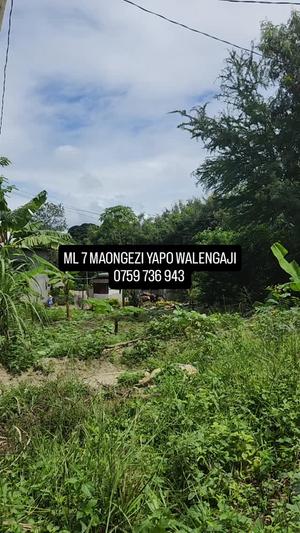 Plot for sale in Goba Matosa Center, Dar Es Salaam