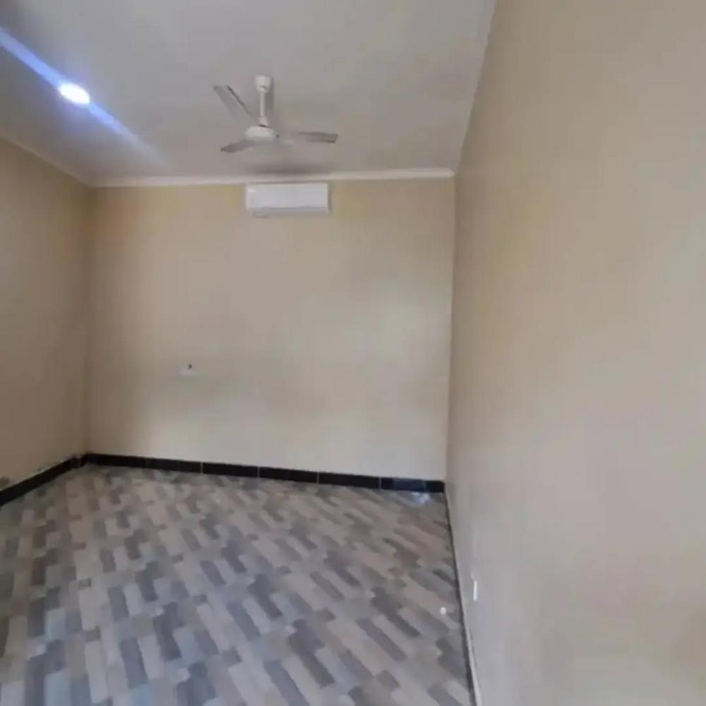 media -5