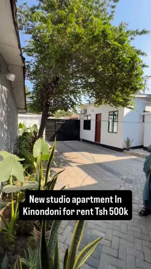 Apartment inapangishwa Kinondoni, Dar Es Salaam Apartment inapangishwa Kinondoni, Dar Es Salaam