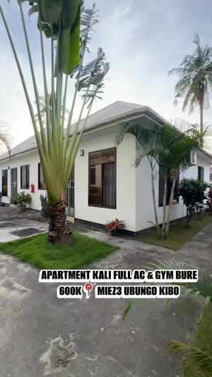 1 Bedroom Apartment for Rent in Ubungo Kibo, Dar Es Salaam 1 Bedroom Apartment for Rent in Ubungo Kibo, Dar Es Salaam