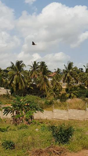 Viwanja vinauzwa Goba Tegeta A, Dar Es Salaam