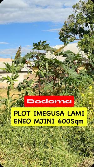 Kiwanja kinauzwa Royal Village Majengo Mapya, Dodoma sqm 600