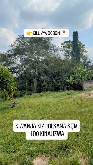 Kiwanja kinauzwa Kiluvya Gogoni, Pwani (1100 sqm) Kiwanja kinauzwa Kiluvya Gogoni, Pwani (1100 sqm)