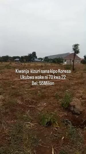 Residential Plot for Sale in Koresa, Kilimanjaro (1540 sqm) Residential Plot for Sale in Koresa, Kilimanjaro (1540 sqm)