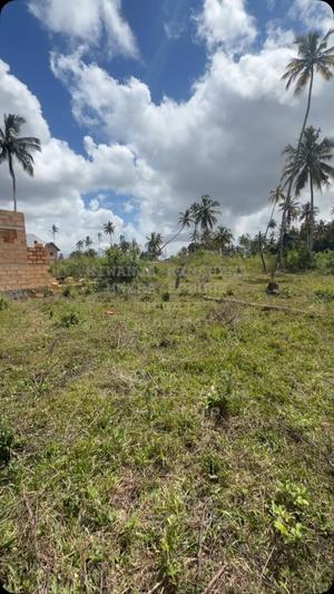 Kiwanja kinauzwa Mwera Pongwe, Tanga (3200 sqm)