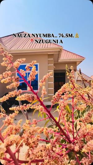 Nyumba ya vyumba vitatu inauzwa Nzuguni, Dodoma (648 sqm) Nyumba ya vyumba vitatu inauzwa Nzuguni, Dodoma (648 sqm)