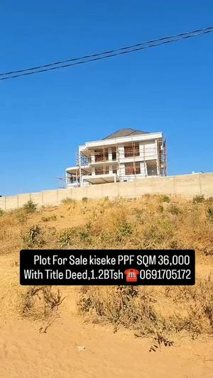 Residential Plot for Sale in Kiseke Ppf, Mwanza (36000 sqm) Residential Plot for Sale in Kiseke Ppf, Mwanza (36000 sqm)