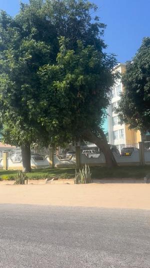Kiwanja kinauzwa Medeli, Dodoma sqm 4100 Kiwanja kinauzwa Medeli, Dodoma sqm 4100