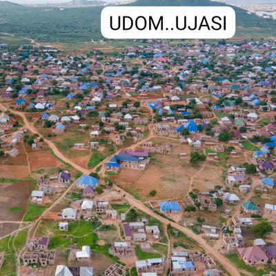 Kiwanja (Residential/Commercial) kinauzwa Udom Ujasi, Dodoma (400 sqm) Kiwanja (Residential/Commercial) kinauzwa Udom Ujasi, Dodoma (400 sqm)