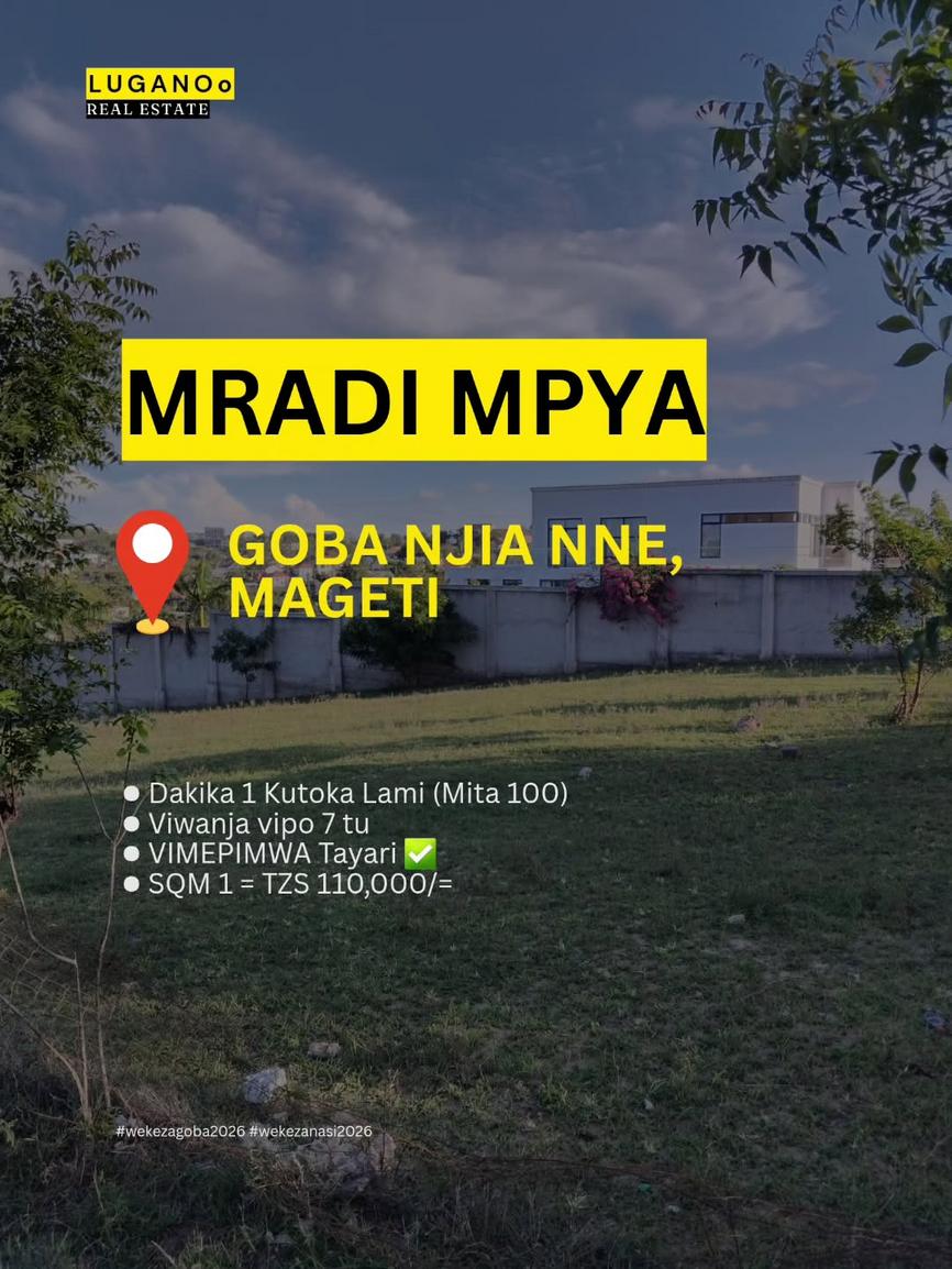  media -1