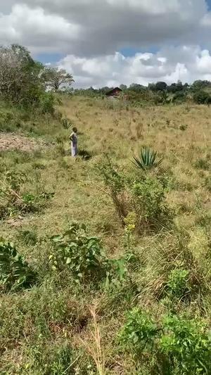 Kiwanja kinauzwa Kifuru Kingazi, Dar Es Salaam (300 sqm) Kiwanja kinauzwa Kifuru Kingazi, Dar Es Salaam (300 sqm)