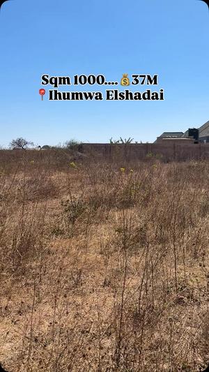 Viwanja vinauzwa Ihumwa Elshadai, Dodoma sqm 1000 Viwanja vinauzwa Ihumwa Elshadai, Dodoma sqm 1000