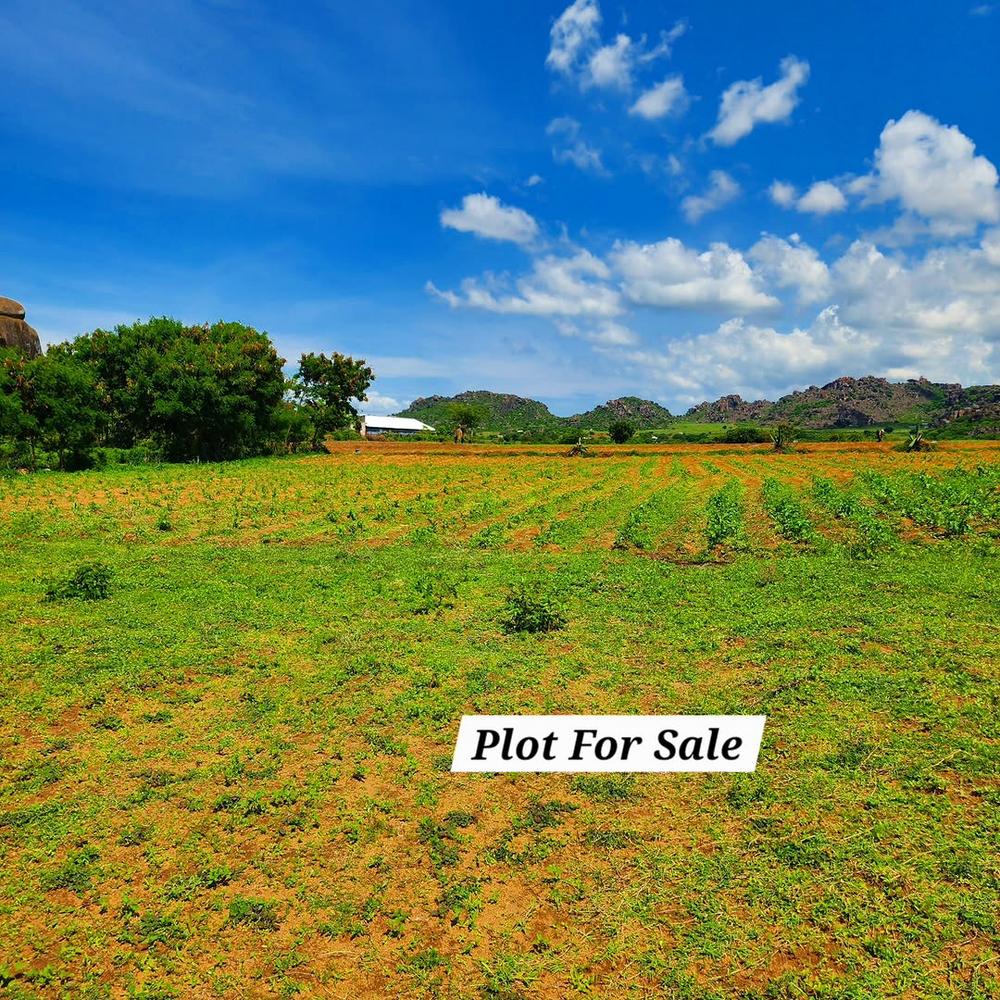 media -4 media -4