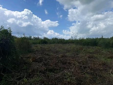 Viwanja vinauzwa Pongwe Ya Uroa, Tanga (3000 sqm)