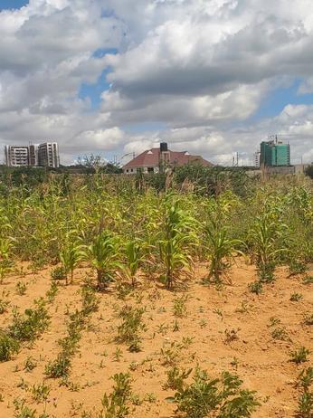 Plot for sale in Kisasa Mwangaza, Dodoma sqm 2628