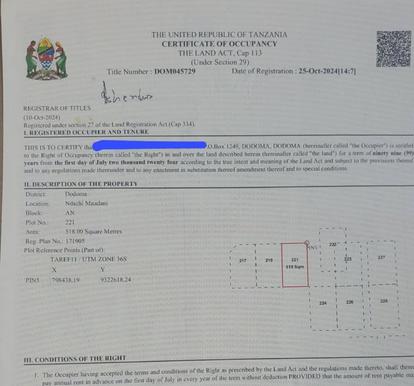 Plot for sale in Ndachi Mnadani, Dodoma sqm 520