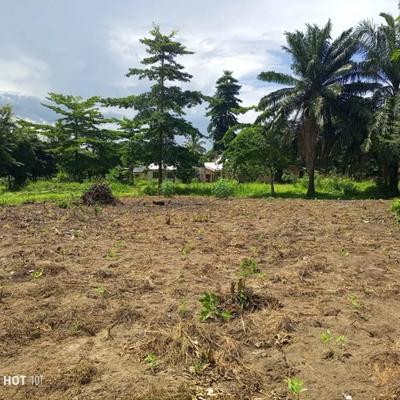 Kiwanja kinauzwa Kibaha Kwa Matias Jeshini, Pwani (315 sqm)