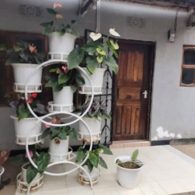Nyumba ya chumba kimoja inapangishwa Sekei, Arusha Nyumba ya chumba kimoja inapangishwa Sekei, Arusha