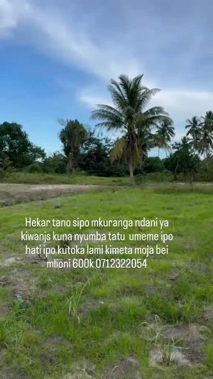 Kiwanja (Residential/Commercial) kinauzwa Mkuranga, Pwani (5 acre) Kiwanja (Residential/Commercial) kinauzwa Mkuranga, Pwani (5 acre)