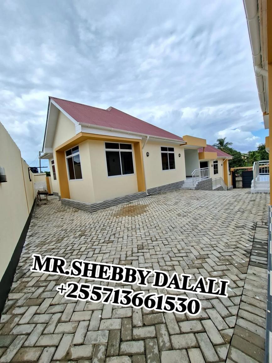 media -3