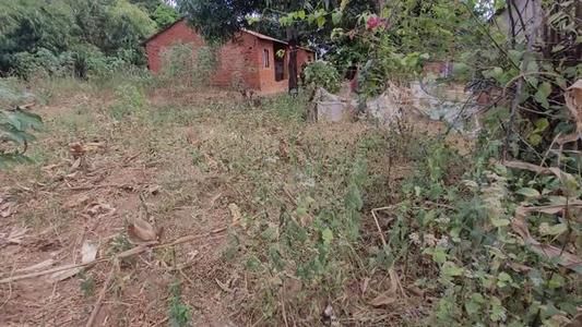Kiwanja kinauzwa Msamala, Ruvuma Kiwanja kinauzwa Msamala, Ruvuma