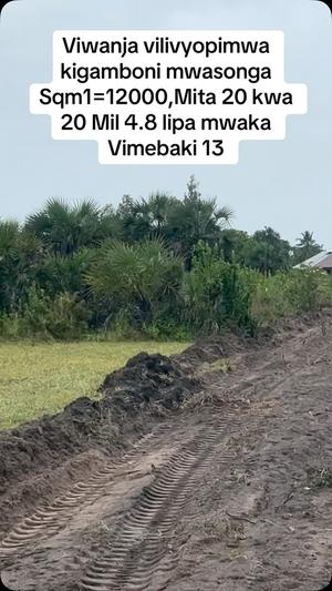 Viwanja vinauzwa Mwasonga, Dar Es Salaam sqm 400 Viwanja vinauzwa Mwasonga, Dar Es Salaam sqm 400